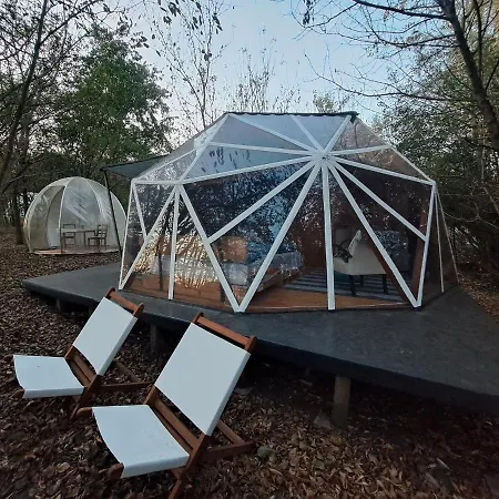 Lelek Lak Dome * Debrecen